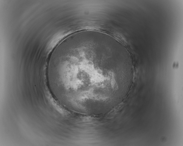 X0000112970098200908271152