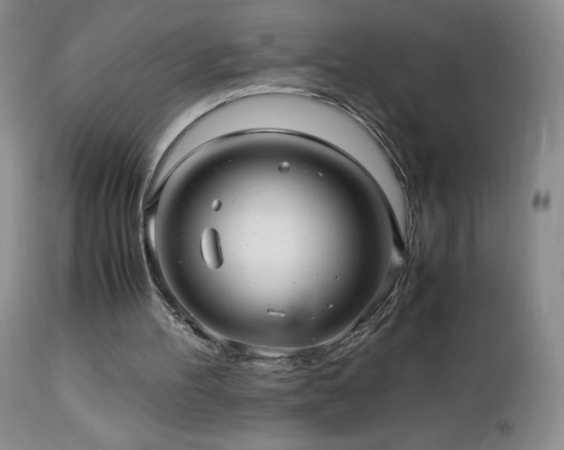 X0000112970100200908271152