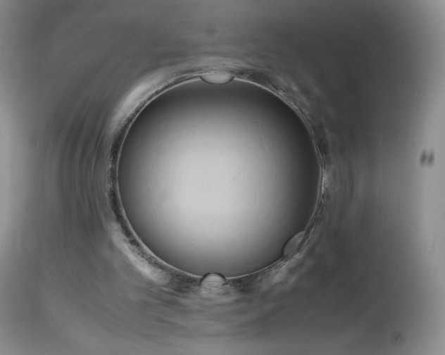 X0000112970101200908271152