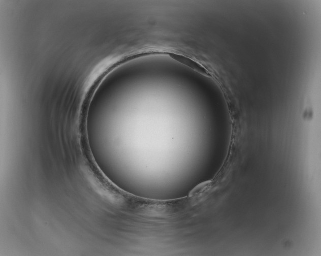 X0000112970104200908271152