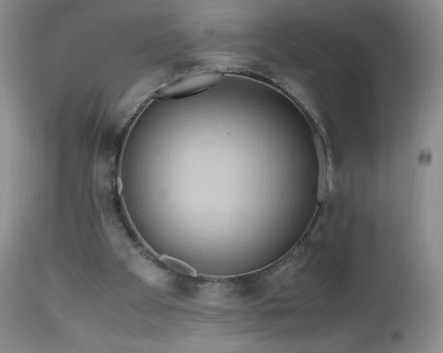 X0000112970105200908271152