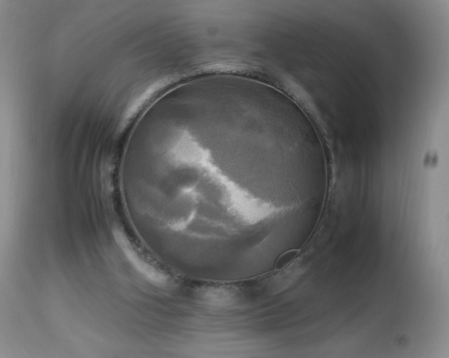 X0000112970106200908271152