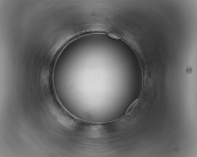 X0000112970108200908271152