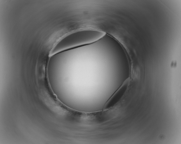 X0000112970109200908271152