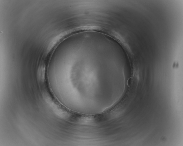 X0000112970110200908271152