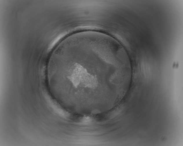 X0000112970111200908271152