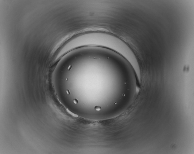 X0000112970112200908271152