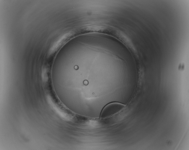 X0000112970114200908271152