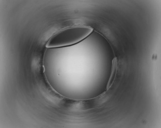 X0000112970116200908271152