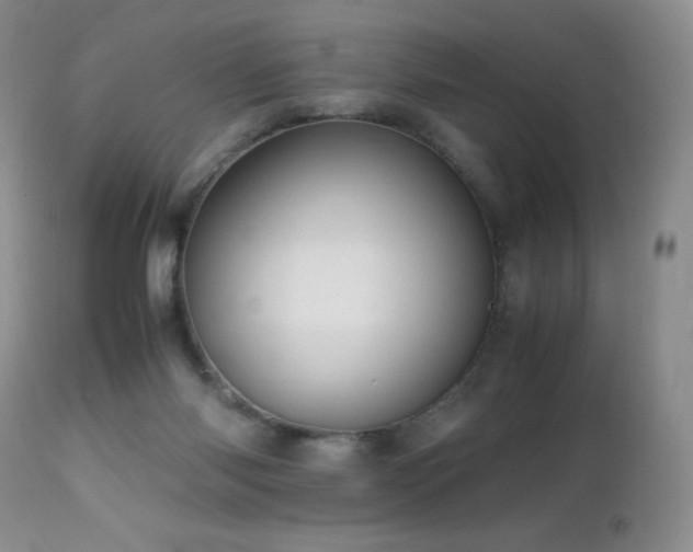 X0000112970118200908271152