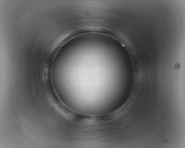 X0000112970120200908271152