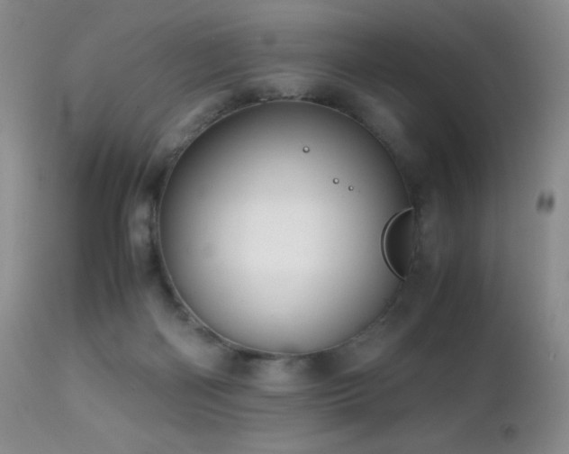 X0000112970122200908271152