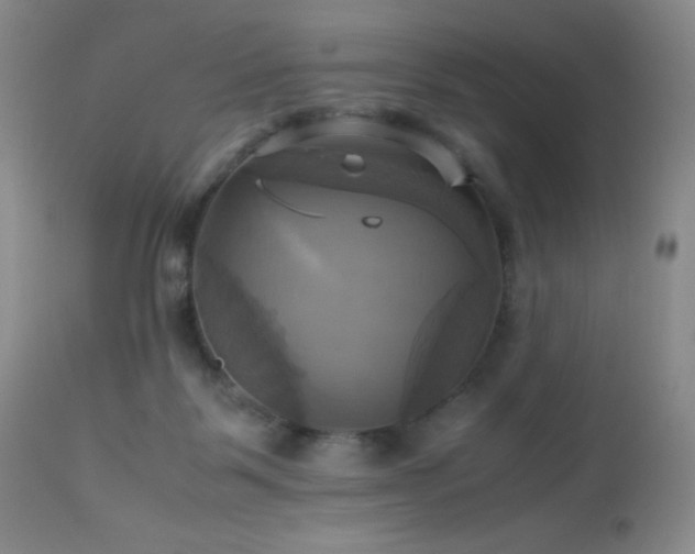 X0000112970123200908271152