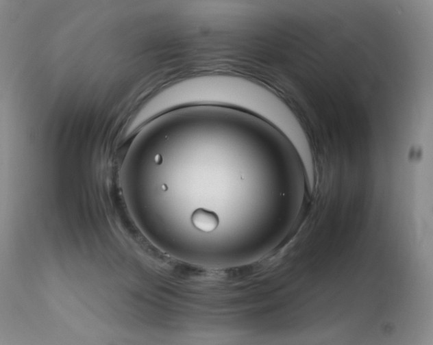 X0000112970124200908271152