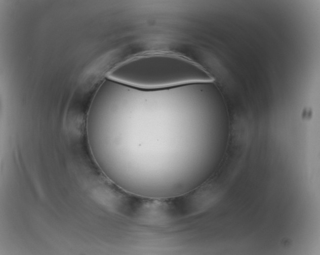 X0000112970125200908271152