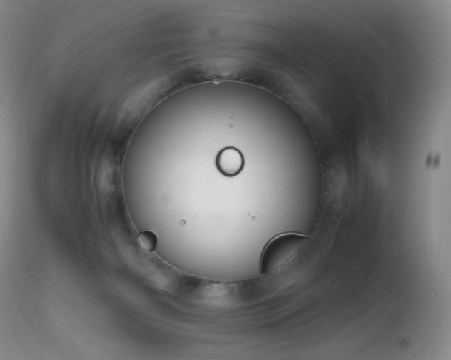 X0000112970126200908271151