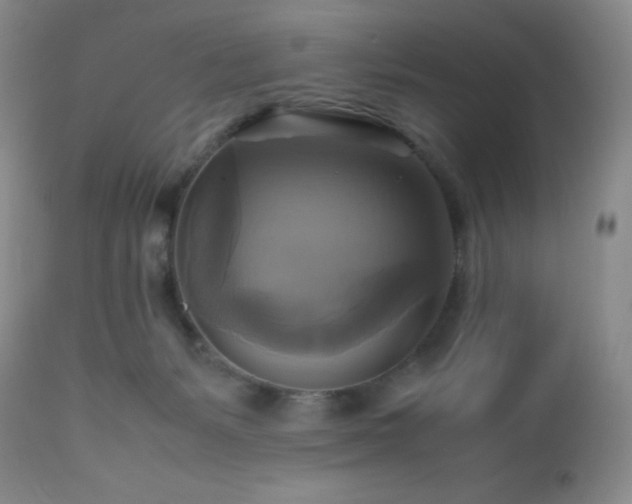 X0000112970127200908271151