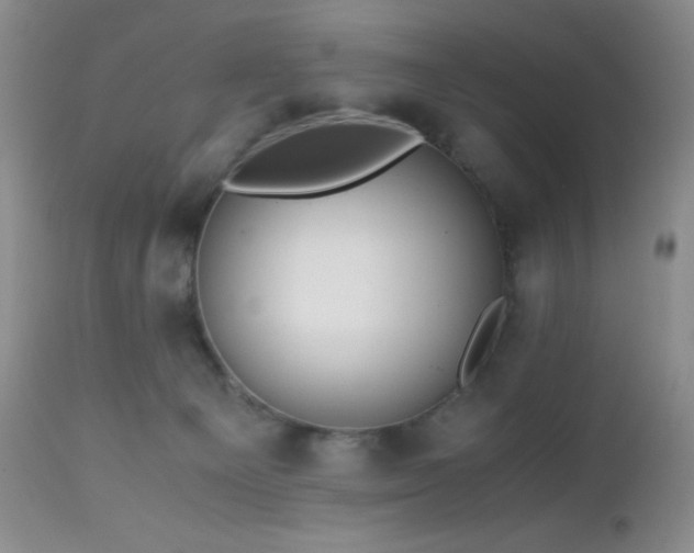 X0000112970129200908271151