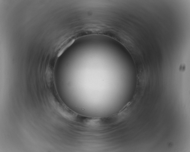 X0000112970132200908271151