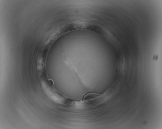 X0000112970134200908271151