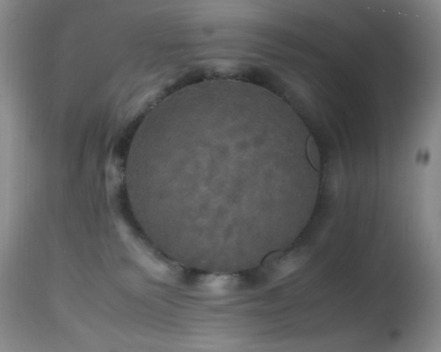 X0000112970135200908271151