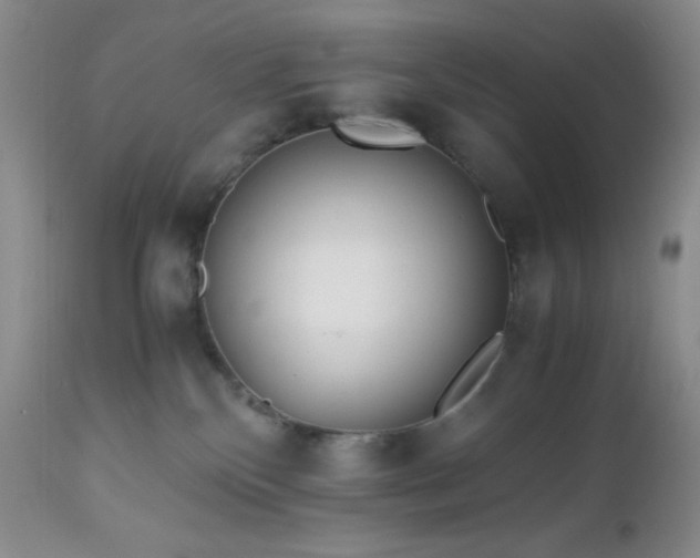 X0000112970136200908271151