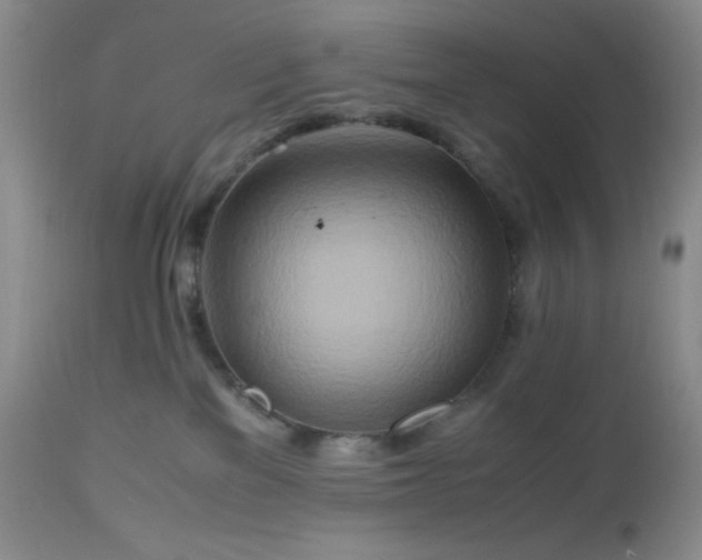 X0000112970137200908271151