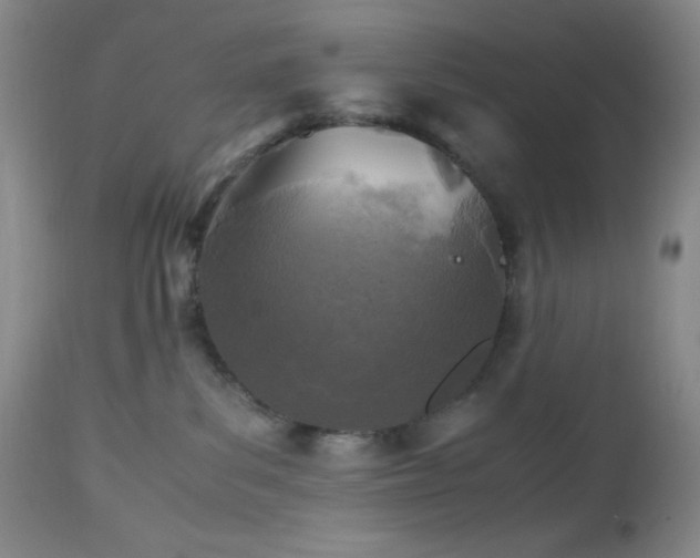 X0000112970139200908271151