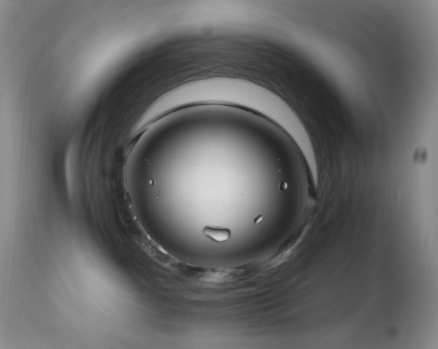 X0000112970140200908271151