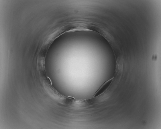 X0000112970141200908271151