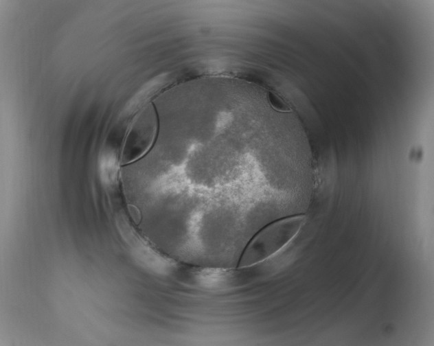 X0000112970142200908271151