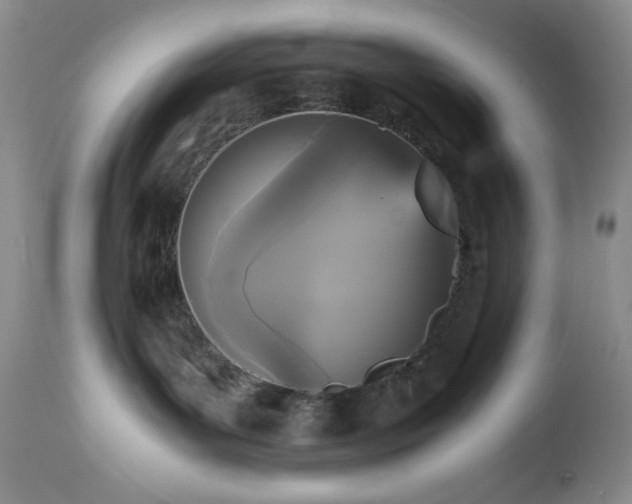 X0000112970143200908271151