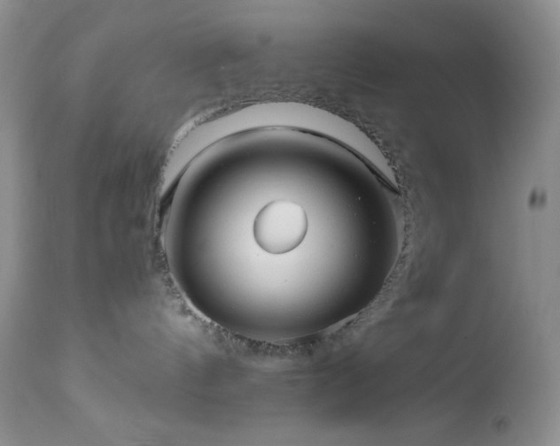 X0000112970144200908271151