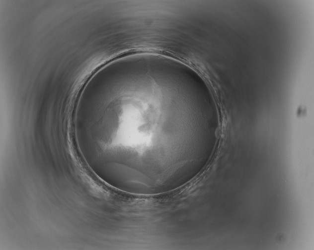 X0000112970145200908271151