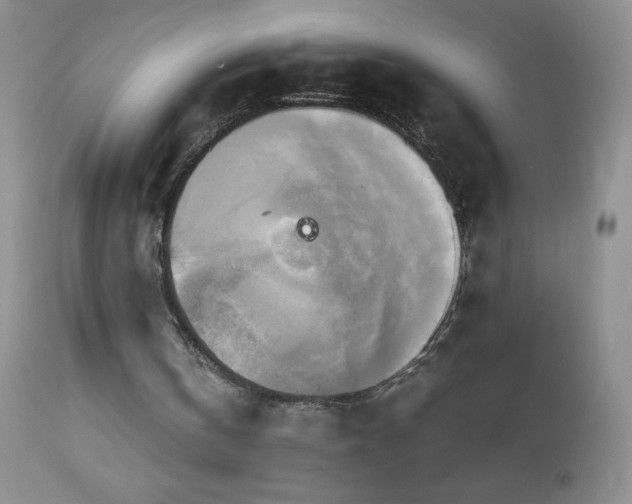 X0000112970146200908271151