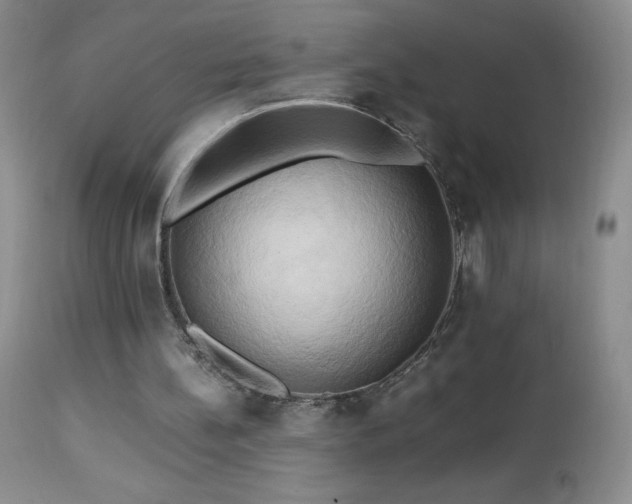 X0000112970148200908271151