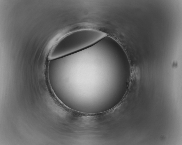 X0000112970150200908271151