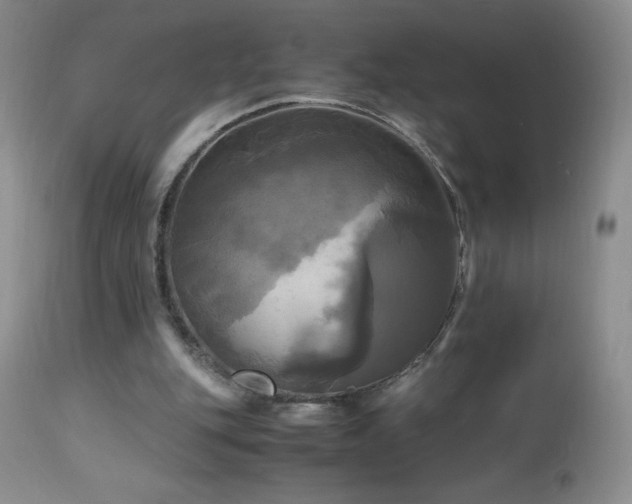 X0000112970151200908271151