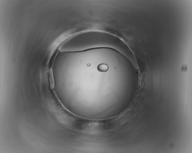 X0000112970152200908271151