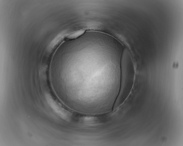 X0000112970154200908271151