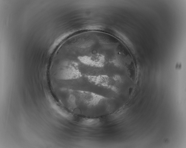 X0000112970155200908271151