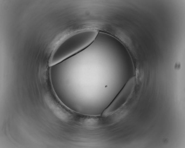 X0000112970156200908271151