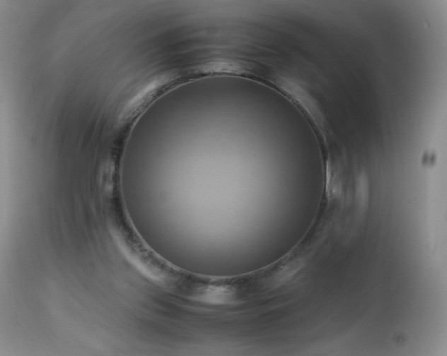 X0000112970157200908271151