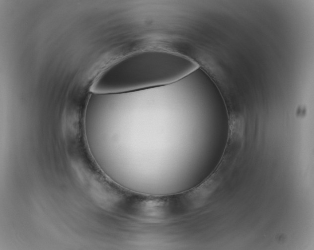 X0000112970158200908271151