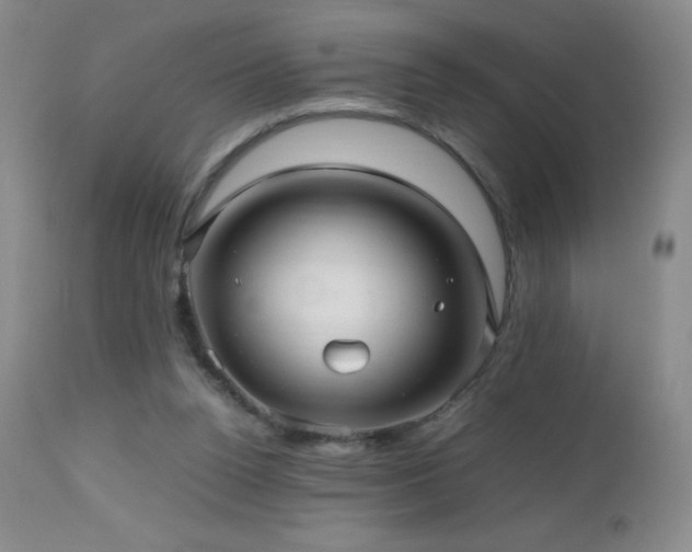 X0000112970160200908271151