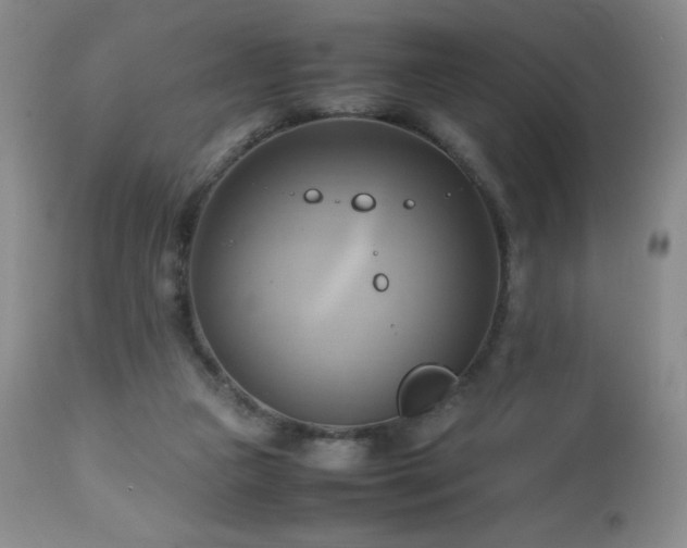 X0000112970161200908271151