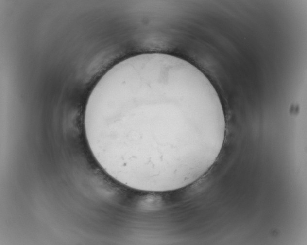 X0000112970162200908271151