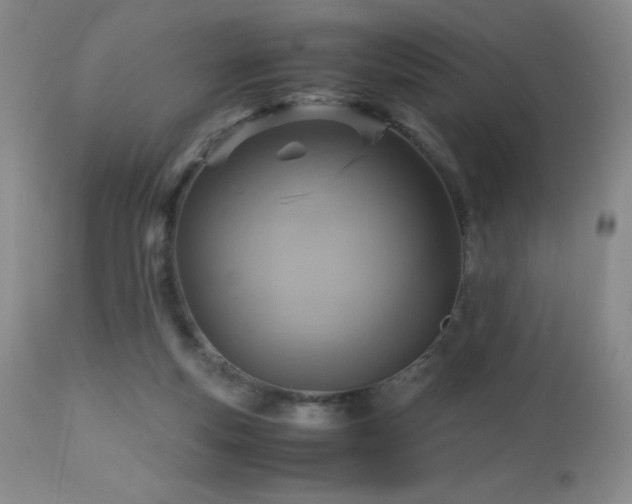 X0000112970163200908271151