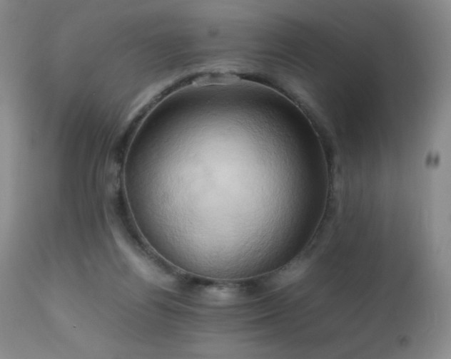 X0000112970164200908271151