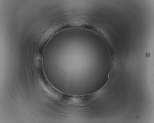 X0000112970166200908271151